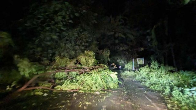 ঘূর্ণিঝড় হামুনের আঘাতে কক্সবাজারে ব্যাপক ক্ষয়ক্ষতি, একজনের মৃত্যু