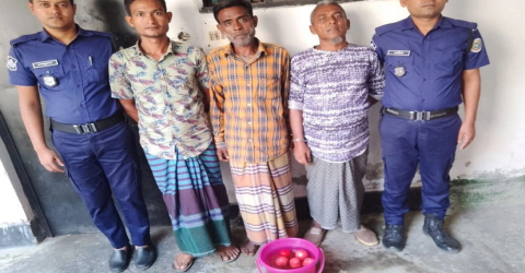 বরগুনায় ককটেলসহ বিএনপির ৫ নেতাকর্মী আটক