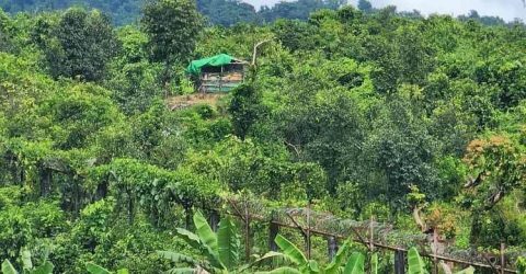 বাংলাদেশে আশ্রয় নিলেন মিয়ানমারের আরও ৩ সেনা
