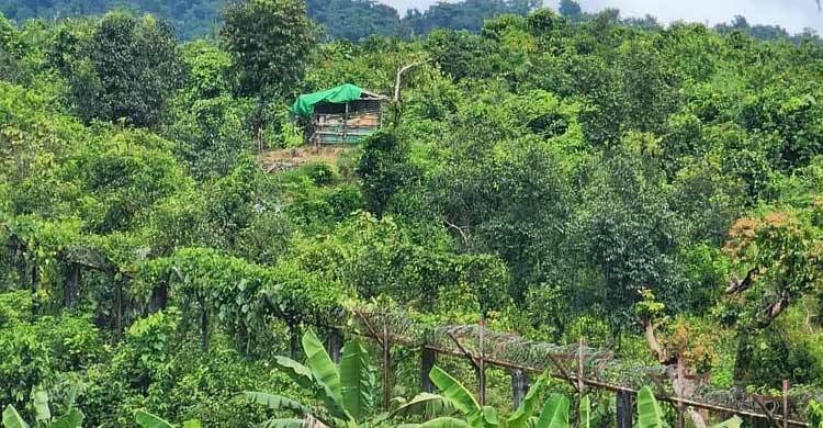বাংলাদেশে আশ্রয় নিলেন মিয়ানমারের আরও ৩ সেনা
