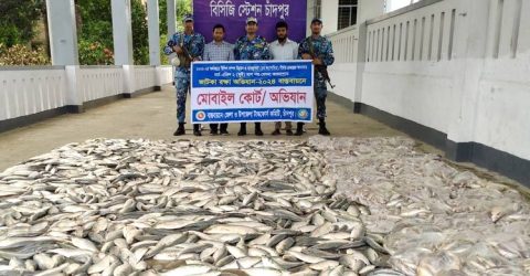 চাঁদপুরে ১০৬ মণ ইলিশ জব্দ