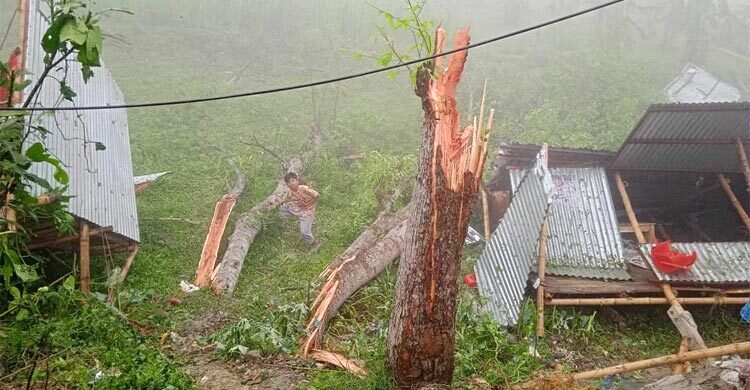 ঘূর্ণিঝড়ে লন্ডভন্ড আলফাডাঙ্গার ২৪ গ্রাম