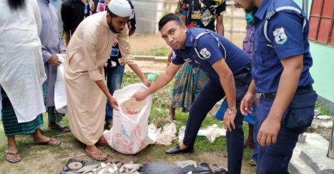 জাটকা জব্দ করে এতিমখানায় পাঠাল নৌ পুলিশ