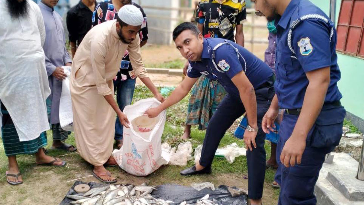 জাটকা জব্দ করে এতিমখানায় পাঠাল নৌ পুলিশ