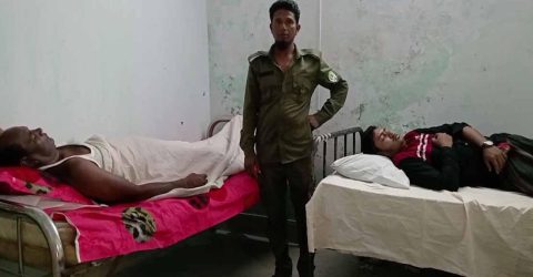 সুন্দরবনে অভয়াশ্রমে মাছ ধরা নিয়ে হামলায় ৩ বন কর্মকর্তা আহত