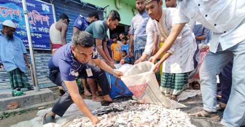 ৪০০ কেজি জাটকাসহ আটক ৪