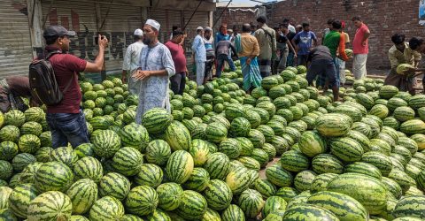 প্রতিদিন কোটি টাকার তরমুজ বিক্রি হয় যে হাটে