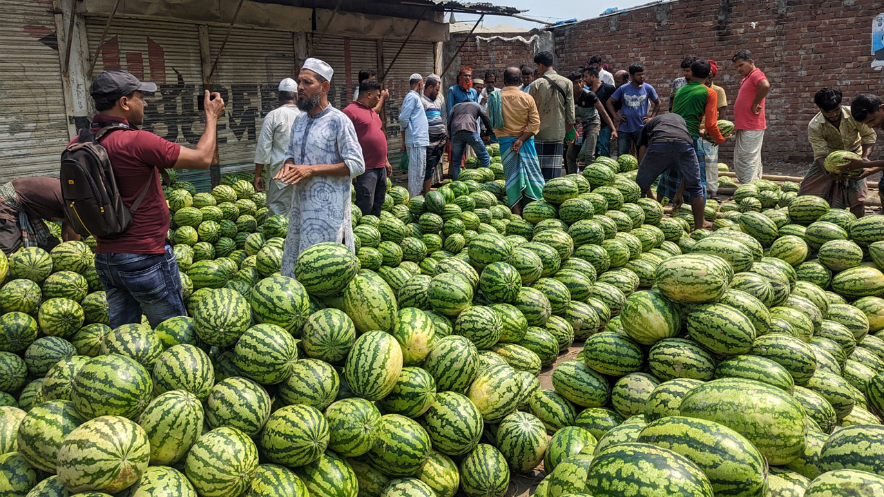প্রতিদিন কোটি টাকার তরমুজ বিক্রি হয় যে হাটে