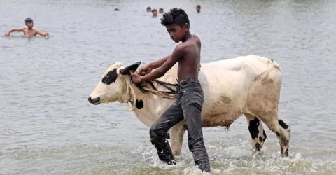 আরও অন্তত ২ দিন তাপপ্রবাহ, বাড়তে পারে তাপমাত্রা