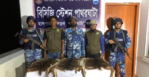 বরগুনায় ৪টি হরিণের চামড়া উদ্ধার করেছে কোস্টগার্ড