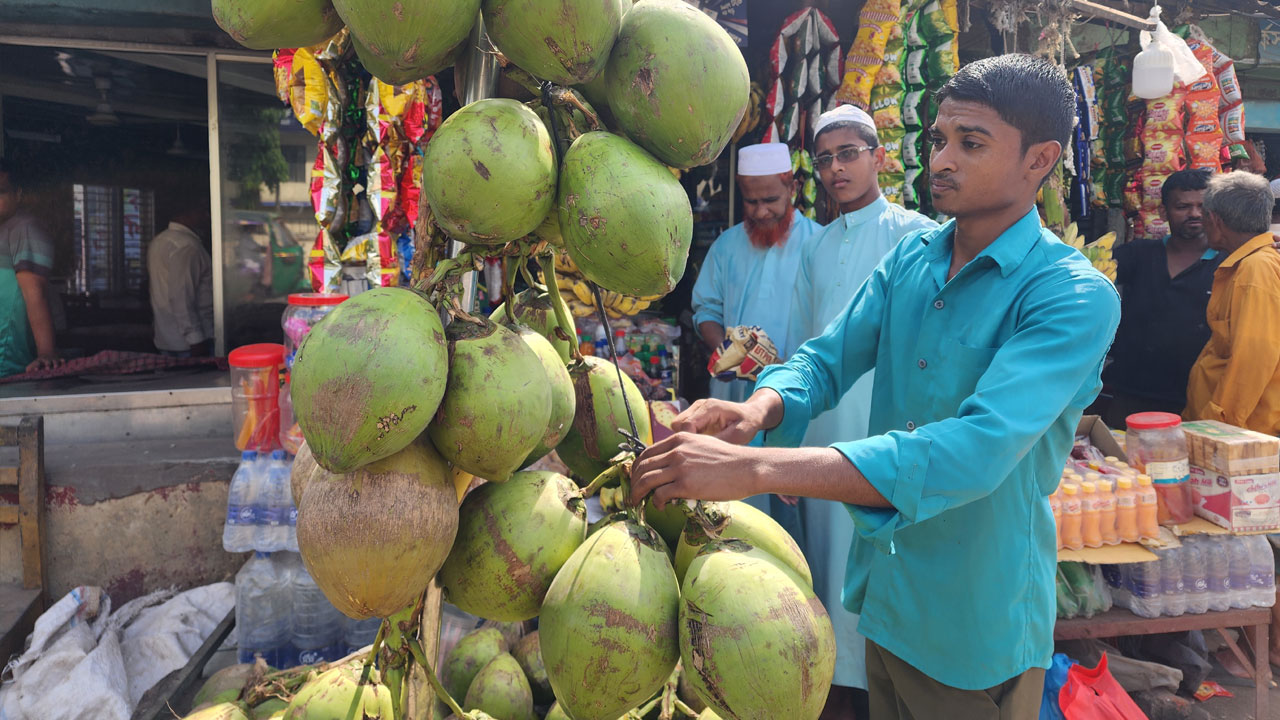 তীব্র গরমে বেড়েছে ডাবের চাহিদা, সঙ্গে দাম