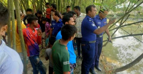 মাছ ধরতে গিয়ে পুকুরে ডুবে খালাতো ভাইবোনের মৃত্যু