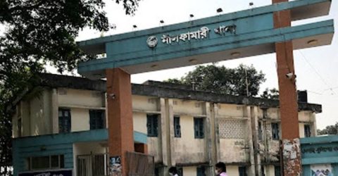 নীলফামারীতে জামায়াতের সহকারী সেক্রেটারিসহ ৩ জন গ্রেফতার