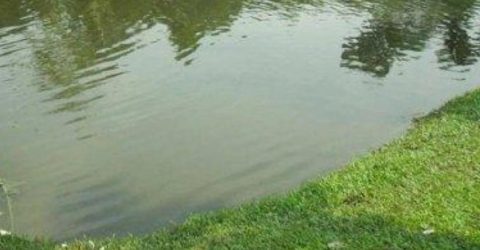 মোহনপুরে পুকুরে ডুবে খালাতো ভাইবোনের মৃত্যু