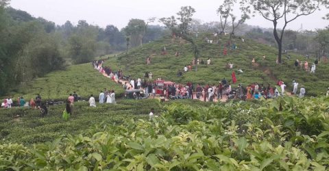প্রকৃতির লীলাভূমি সিলেটে পর্যটকদের ভিড়
