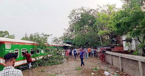 চমক রেখে জিম্বাবুয়ে সিরিজের দল ঘোষণা করল বিসিবি