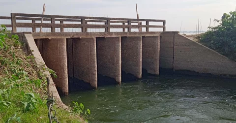 হাওরের স্লুইসগেট খুলে দেওয়ার সিদ্ধান্ত