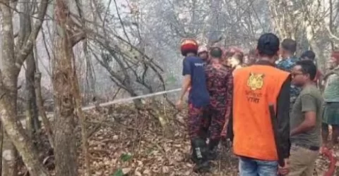 দুই যুগে সুন্দরবনকে পরিকল্পিতভাবে পোড়ানো হয়েছে ২৬ বার 