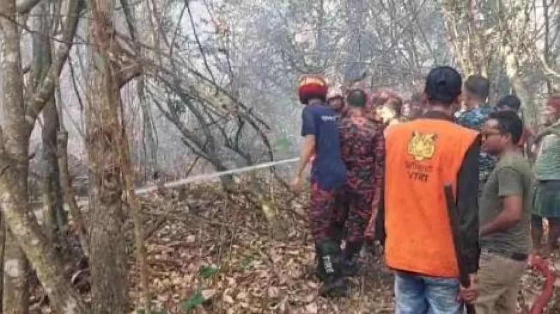 দুই যুগে সুন্দরবনকে পরিকল্পিতভাবে পোড়ানো হয়েছে ২৬ বার