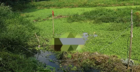 শাবির লেক থেকে শ্রমিকের লাশ উদ্ধার