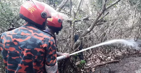 ৩০ ঘণ্টা পর সুন্দরবনের আগুন নিয়ন্ত্রণে