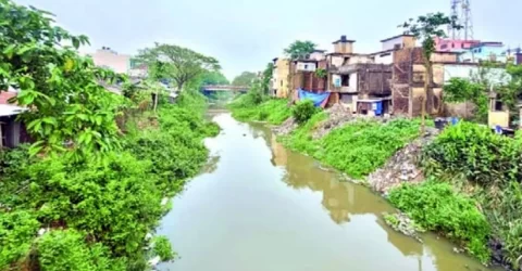 বিশ্বনাথে দখল দূষণেবিপন্ন বাসিয়া নদী