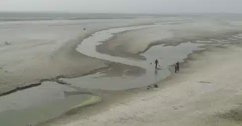 শুষ্ক মৌসুমে পদ্মায় চোখে পড়ে ধু-ধু বালুচর