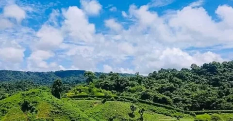 বান্দরবান সীমান্তে মাইন বিস্ফোরণে একজনের দুই পা বিচ্ছিন্ন, আহত ৩