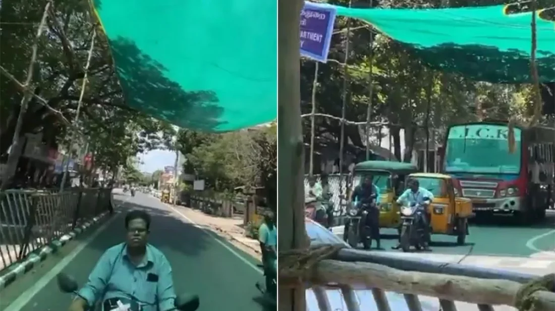 গরমে ছায়া দিতে সড়কে সবুজ শামিয়ানা