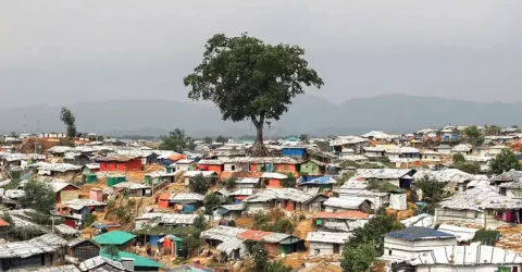 রোহিঙ্গা ক্যাম্পে হেড মাঝিকে তুলে নিয়ে গুলি করে হত্যা