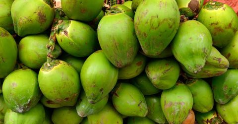 বরগুনায় ডাবের দাম উঠেছে ২২০ টাকা