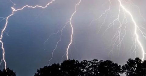 বরগুনায় মাছ ধরতে গিয়ে বজ্রপাতে হাফেজ ছাত্রের মৃত্যু