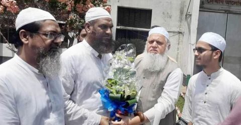 মামুনুল হক কারামুক্ত