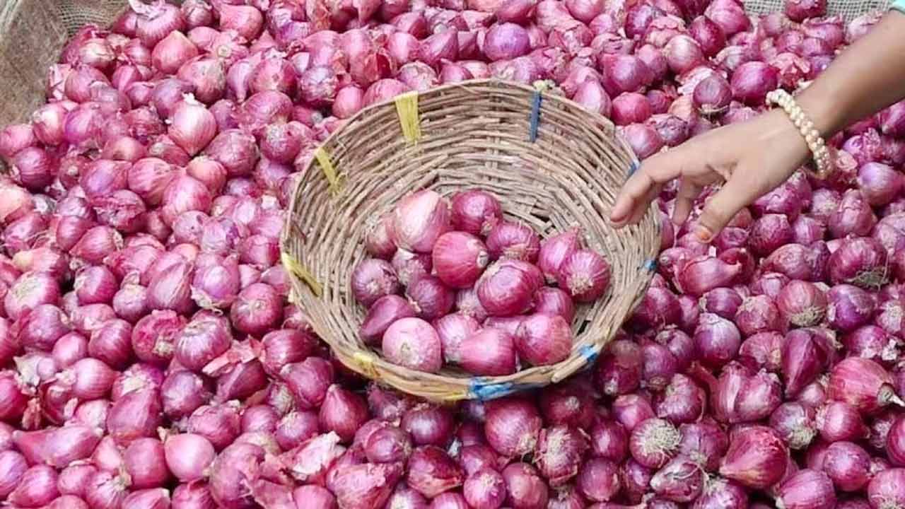 পেঁয়াজ রপ্তানি থেকে নিষেধাজ্ঞা তুলল ভারত