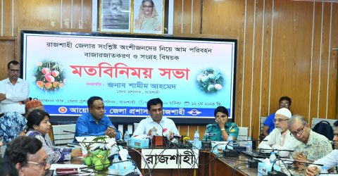 রাজশাহীতে এবার আমের ফলন হয়েছে ১৩ দশমিক ২৮ মেট্রিকটন