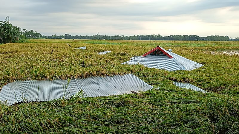 নাসিরনগরে কালবৈশাখীতে ক্ষতিগ্রস্ত ৪০ বাড়ি, বিদ্যুৎ নেই ১৩০ গ্রামে