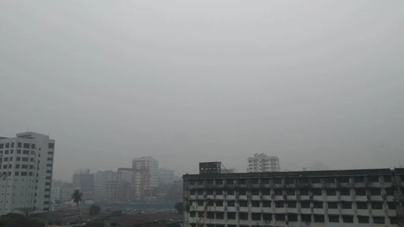 গুঁড়ি গুঁড়ি বৃষ্টিতে স্বস্তি