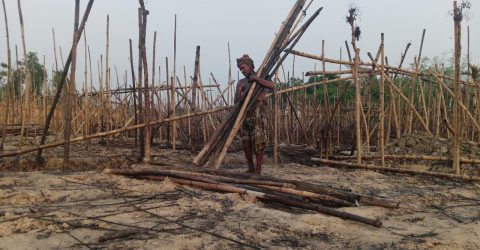 পানের বরজে অগ্নিকাণ্ড