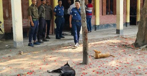 ৩ ঘণ্টায় ভোট পড়েছে মাত্র ১৯টি