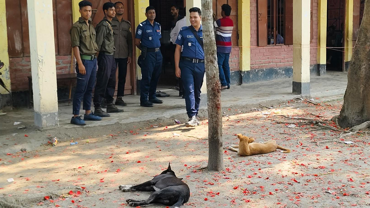 ৩ ঘণ্টায় ভোট পড়েছে মাত্র ১৯টি
