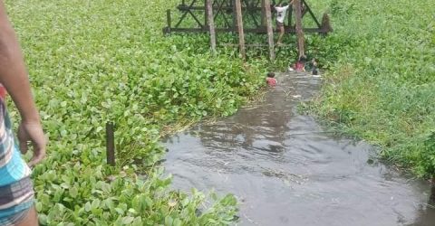 বরগুনায় সেতু ভেঙে বিয়ের মাইক্রোবাস খালে, নিহত ৮