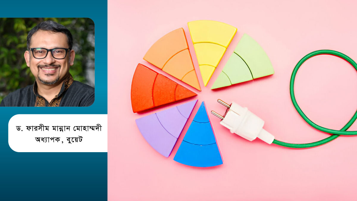 জ্বালানি বাজেট ২০২৪-২০২৫ : যে বিষয়ের ওপর জোর দেওয়া জরুরি