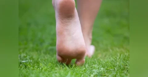 খালি পায়ে ঘাসের উপর কতক্ষণ হাঁটলে মিলবে উপকার
