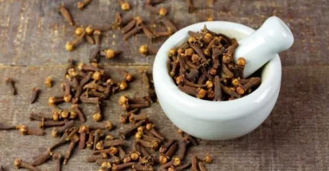 লবঙ্গ চিবিয়ে না খেয়ে যে ভুলগুলো করছেন