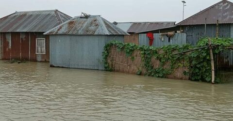 অর্ধলাখ মানুষ পানিবন্দি