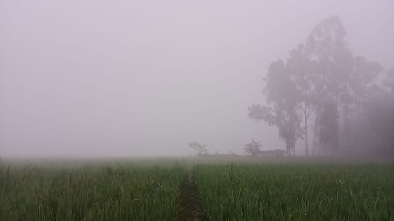 কুয়াশার চাদরে শীতের হাতছানি