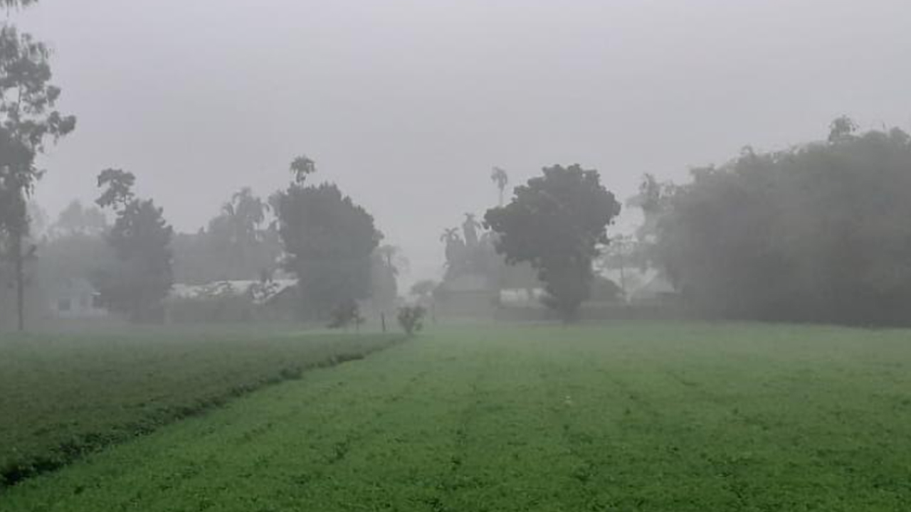 হিমালয়কন্যা পঞ্চগড়ে বাড়ছে শীতের পরশ