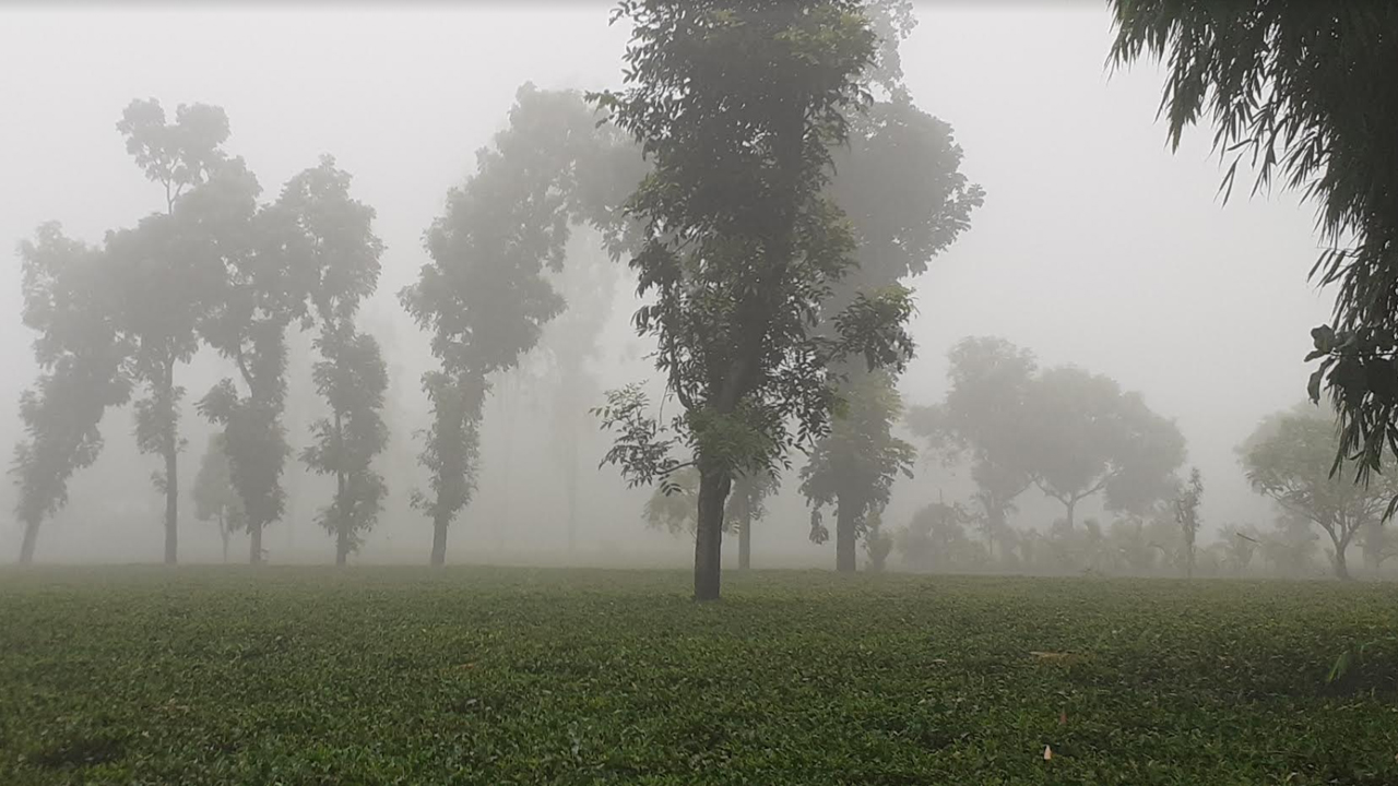 পঞ্চগড়ে ১৭.৮ ডিগ্রি সেলসিয়াস তাপমাত্রা রেকর্ড