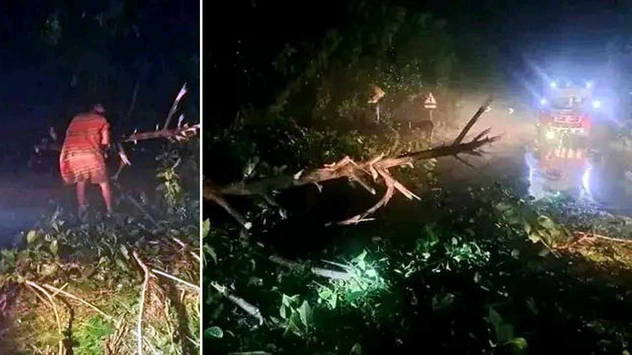 রাজবাড়ী-কুষ্টিয়া মহাসড়কে গাছ ফেলে যানবাহনে ডাকাতি