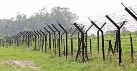 জামিন পেয়েই ফের ভারতে যাওয়ার চেষ্টা, আটক ৪